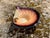 Mouth-Blown Glass Art Bowl in the Shape of a Shell, from the Jozefina Krosno Glass Art Manufactory, Poland, 1980s For Sale - Image 16 of 18