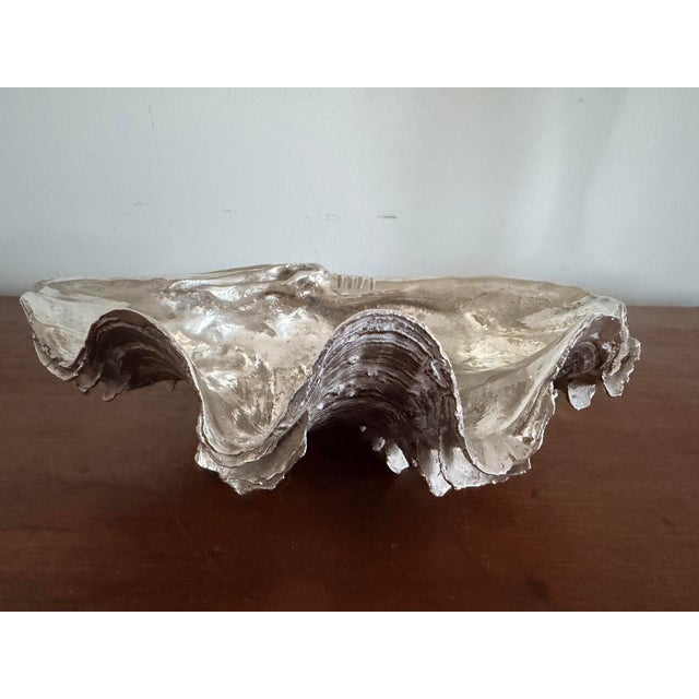 Vintage Silvered Clam Shell For Sale - Image 4 of 11