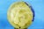 MEASUREMENTS: Diameter: 51 cm; Height: 6 cm; Weight: 2.267 kg Item : Impressive majolica plate, with a monumental diameter...