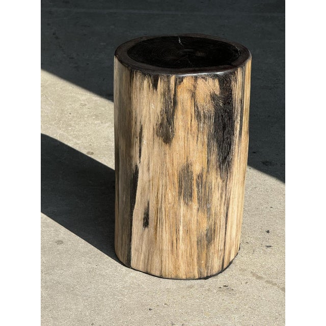 Petrified Wood Side Table with Black Heart For Sale - Image 5 of 18