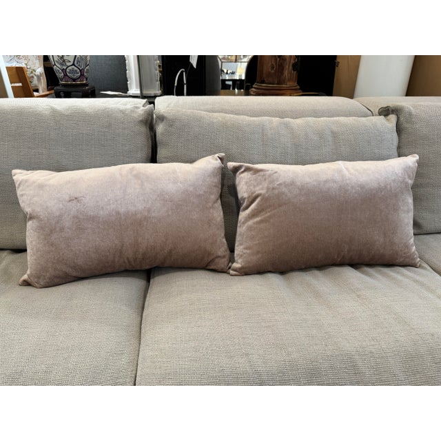 Textile Williams-Sonoma Taupe Lumbar Pillows, Pair For Sale - Image 7 of 12