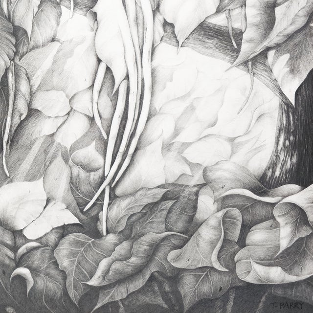 Illustration Cigar Tree #2 - Tomoko Parry, C. 1990s For Sale - Image 3 of 10