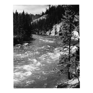 1969 Yellowstone National Park Photograph by Don Ware