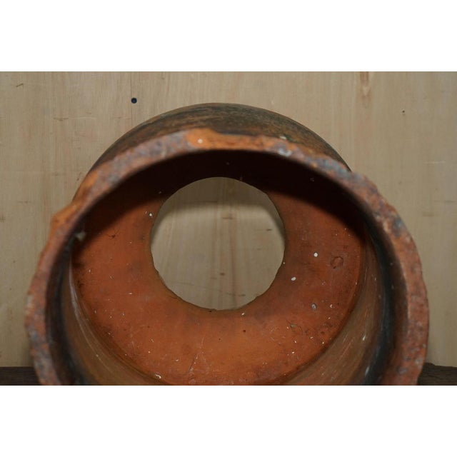 Antique English Terracotta Seakal Rhubarb Forced Planter, 1880 For Sale - Image 11 of 12