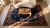 1920s Chinese Art Deco Carpet ( 8'10" x 11'7" - 269 x 353 ) For Sale - Image 15 of 15