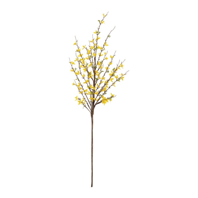 Celebrate the vibrant beauty of spring with this Yellow Forsythia Branch Set. Featuring slender natural-look branches...