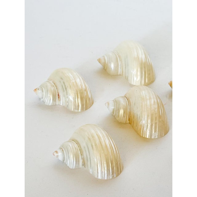 Absolutely glowing and lovely set of six iridescent pearl turbo shell napkin rings. These are vintage, and have never been...