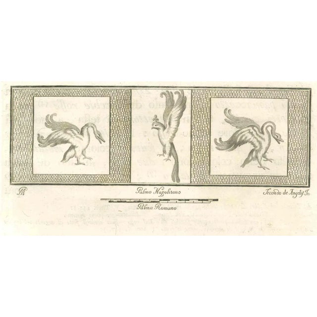 Secondo De Angelis, Birds Pompeian Fresco, Etching, 18th Century For Sale