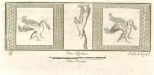 Secondo De Angelis, Birds Pompeian Fresco, Etching, 18th Century