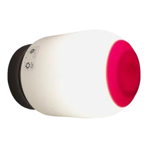 Mid 20th Century Capezzolo Sconce by Leucos