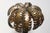 Metal Vintage Palm Floor Lamp in Brass by Christian Techoueyres for Maison Jansen, 1970 For Sale - Image 7 of 13