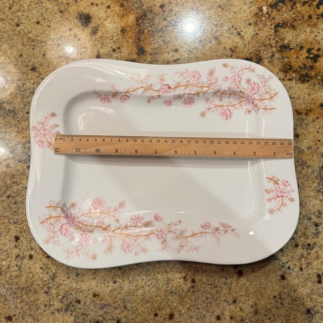 Traditional Antique Mark and Gutherz Carlsbad Platter For Sale - Image 3 of 6