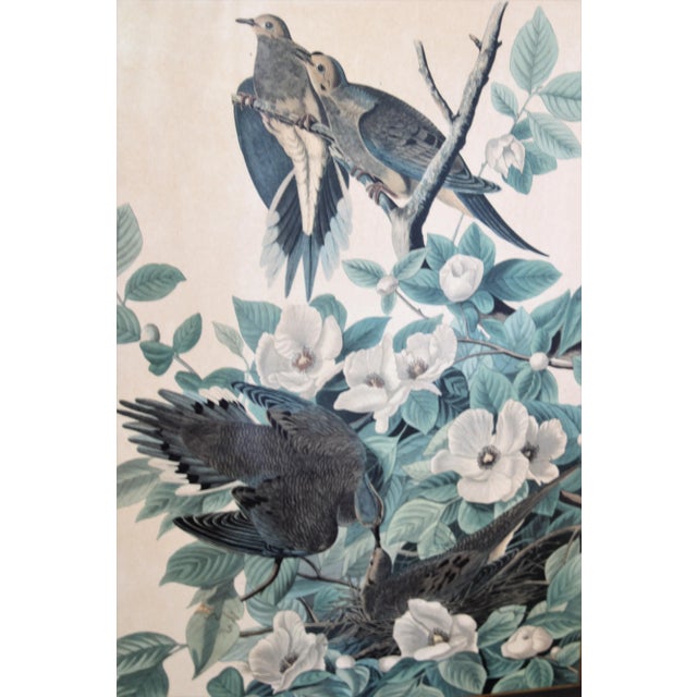 Framed John James Audubon Chinoiserie Large Lithograph Prints/ Wall Art- Pair For Sale - Image 4 of 8