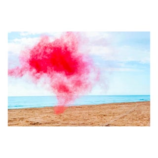 "Super Natural Red One" Contemporary Archival Photograph Watercolor Print by Cheryl Maeder For Sale