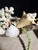 Step into a studio-turned-sanctuary. This sale features a series of original works born from a fascination with the ornate...