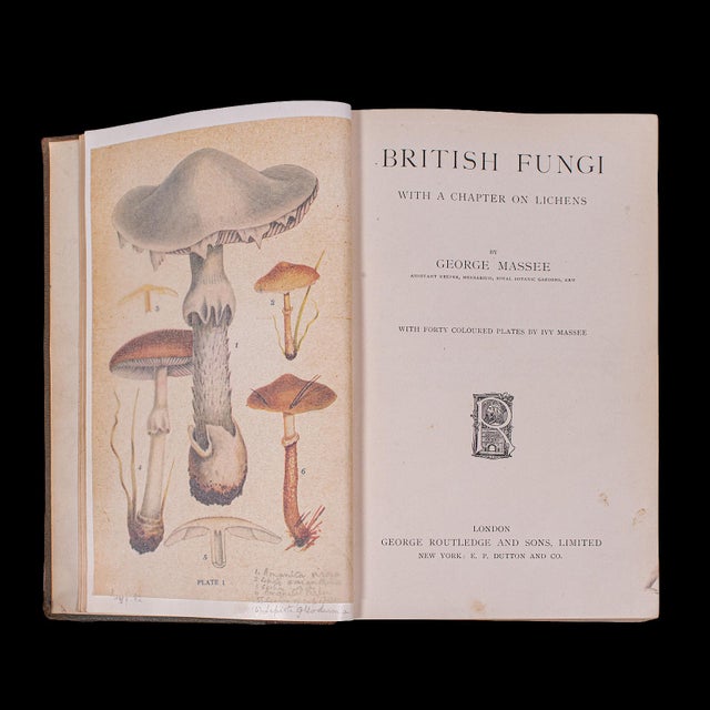 Antique Reference Book, British Fungi, George Massee, English, Natural, Science For Sale - Image 4 of 12