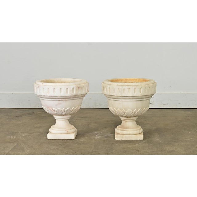 Neoclassical Portuguese 19th Century Pair of Carved Alabaster Urns For Sale - Image 3 of 10