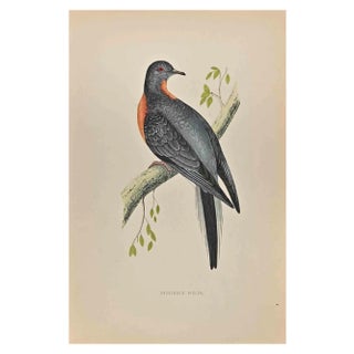 Alexander Francis Lydon, Passenger Pigeon, Woodcut Print, 1870 For Sale