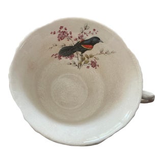 1970s Tea Cups and Saucers From the Aviary Collection by Royal Cauldon - 16 pcs For Sale