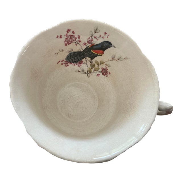 1970s Tea Cups and Saucers From the Aviary Collection by Royal Cauldon - 16 pcs For Sale