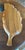 Mid 20th Century Danish Modern Oversized Wooden Divided Leaf Platter Tiki Hawaiian Entertaining For Sale - Image 9 of 10