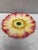 French Country Majolica Pink Flower Plate, Delphin Massier, Circa 1890 For Sale - Image 3 of 4