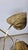 Three-Leaf Brass Floor Lamp by Carlo Giorgi for Bottega Gadda, 1960s For Sale - Image 13 of 15