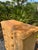Mid-Century Modern 19th Century Pine Chest of Drawers For Sale - Image 3 of 10