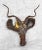 Industrial African Folk Art Kudu Wall Hanging Sculpture Mask, Zimbabwe, c. Late 20th Century - Pairs Nicely with Many...