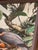 Late 20th Century Falcons Original Oil Painting Richard Sloan Style Maya Temple Birds Rainforest For Sale In San Francisco - Image 6 of 13