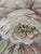 Early 20th Century Antique French Tapestry with Rooster and Flowers from Aubusson, 1900 For Sale - Image 5 of 18