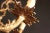 Gold Spanish Chandelier in Brass, Spain, 1970 For Sale - Image 8 of 11