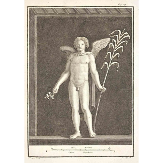 Giuseppe Aloja, Ancient Roman Fresco Herculaneum, Etching, 18th Century For Sale