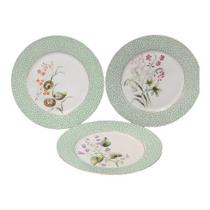 Vintage Hand Painted Haviland & Co. Limoges Botanical Floral Green Border Plates- Set of 3