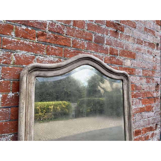 Large Antique 19th Century French Carved Wood Painted Mirror For Sale - Image 3 of 7