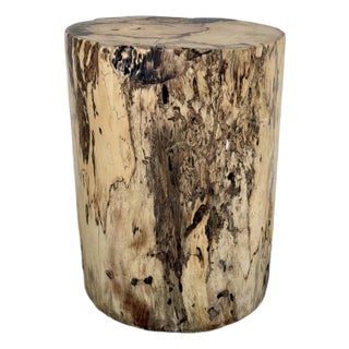 Organic Modern Natural Wood Accent Table/Stool For Sale