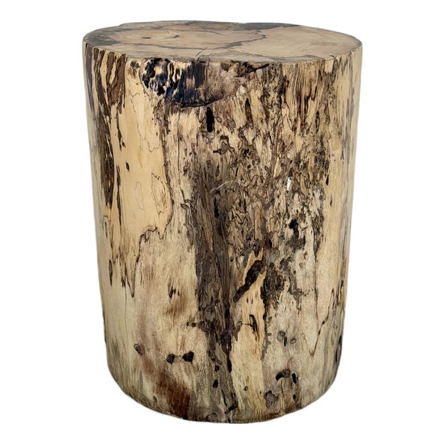 Organic Modern Natural Wood Accent Table/Stool For Sale