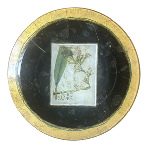 Limited Edition Susan Ward Spice Leaves Decorative Round Plate Floral Botanical Design Gold Rim