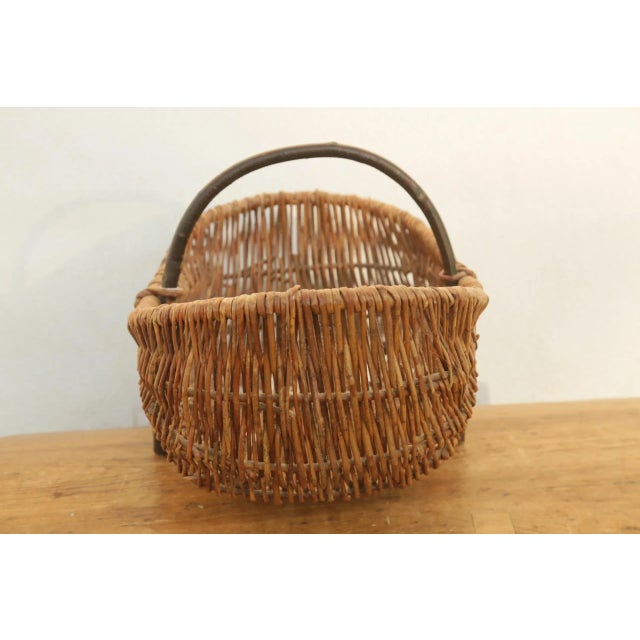 Farmhouse French Antique Buttocks Harvest Gathering Wicker Basket With Grape Vine Handle Early 20's Century For Sale - Image 3 of 8