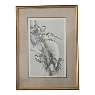 1980s Red Pine Bleck Capped Chickadees Signed Maynard Reece Print For Sale
