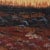 Large Mid-Century Modern Orange and Brown Tree Landscape Painting Signed Williams For Sale - Image 10 of 12