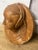 Ceramic Share Terracotta Medallion of a Renaissance-Style Lady,19th Century For Sale - Image 7 of 8