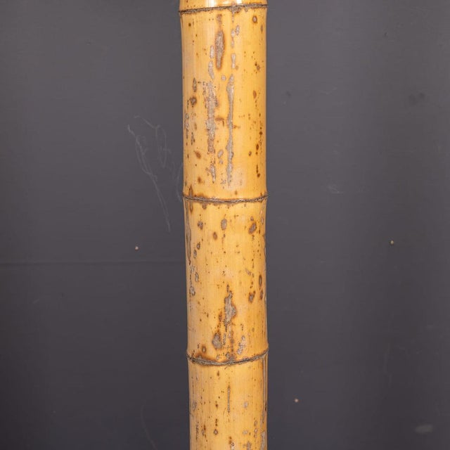 20th Century French Palm Tree Floor Lamp by Christian Techoueyres for Maison Jansen, 1970 For Sale - Image 15 of 18