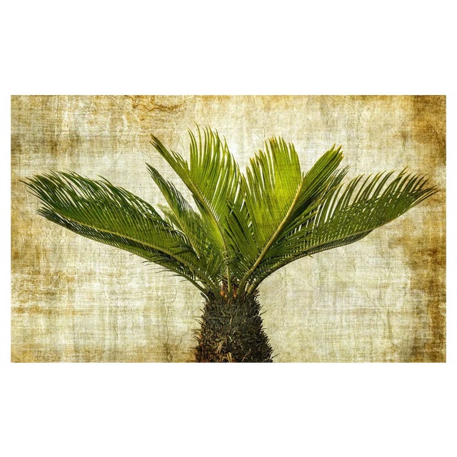 Sumit Mehndiratta, Spiked in Green, 2021, Archival Ink Print on Canvas For Sale