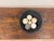 Collection of Six Petite Scale Antique Marble River Balls / Stone Spheres For Sale - Image 9 of 10