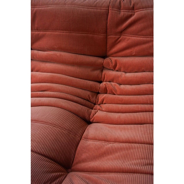 Coral Corduroy Togo Three-Seat Sofa by Michel Ducaroy for Ligne Roset For Sale - Image 6 of 10