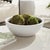 This set of earthenware low bowls are designed for the outdoors, but are equally as beautiful indoors. From the depth of...