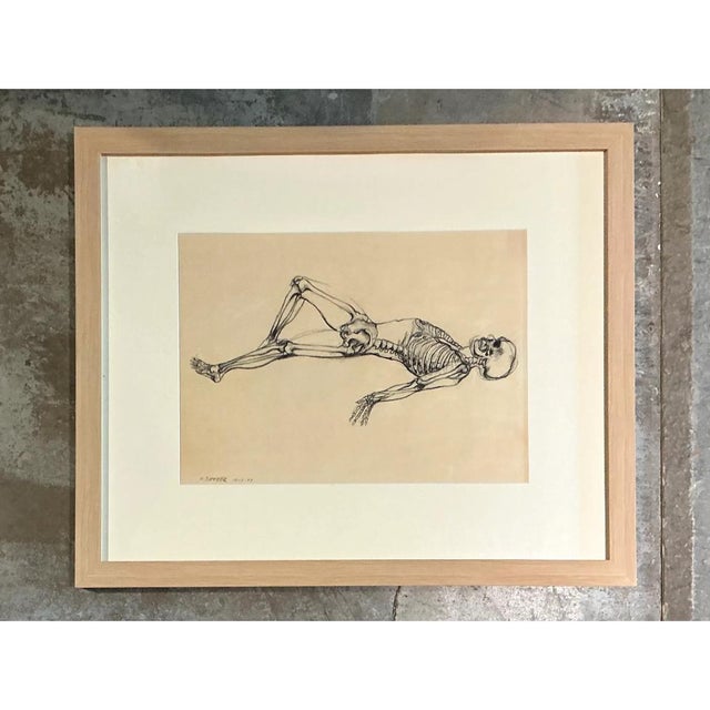 Wood Vintage Framed Reclining Skeleton Study on Paper For Sale - Image 7 of 12