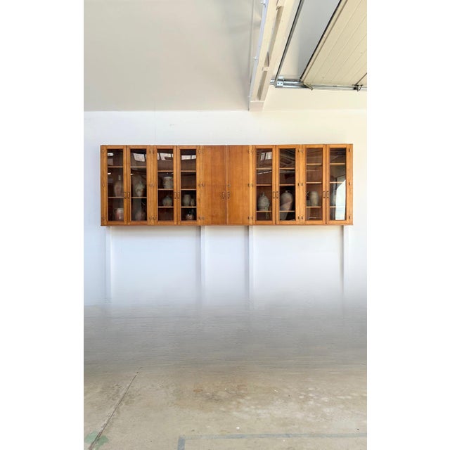 Pharmacy Wall Display Cabinet, 1950s For Sale - Image 13 of 13