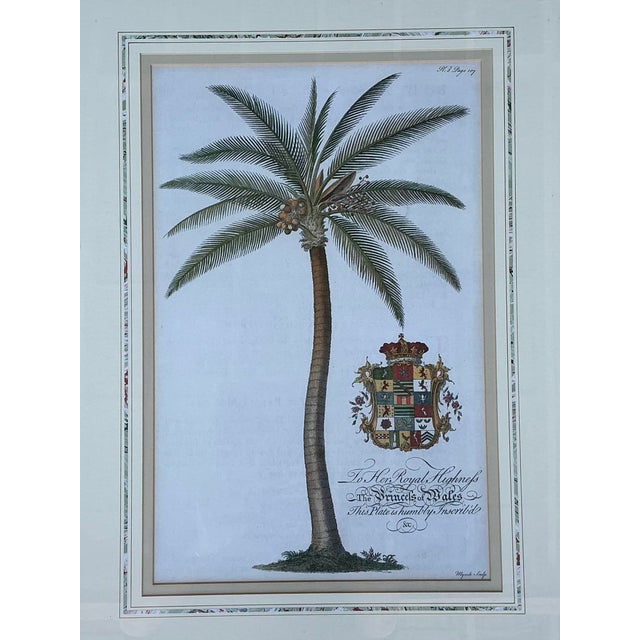 English Vintage Crested Palm Etchings - A Pair For Sale - Image 3 of 12